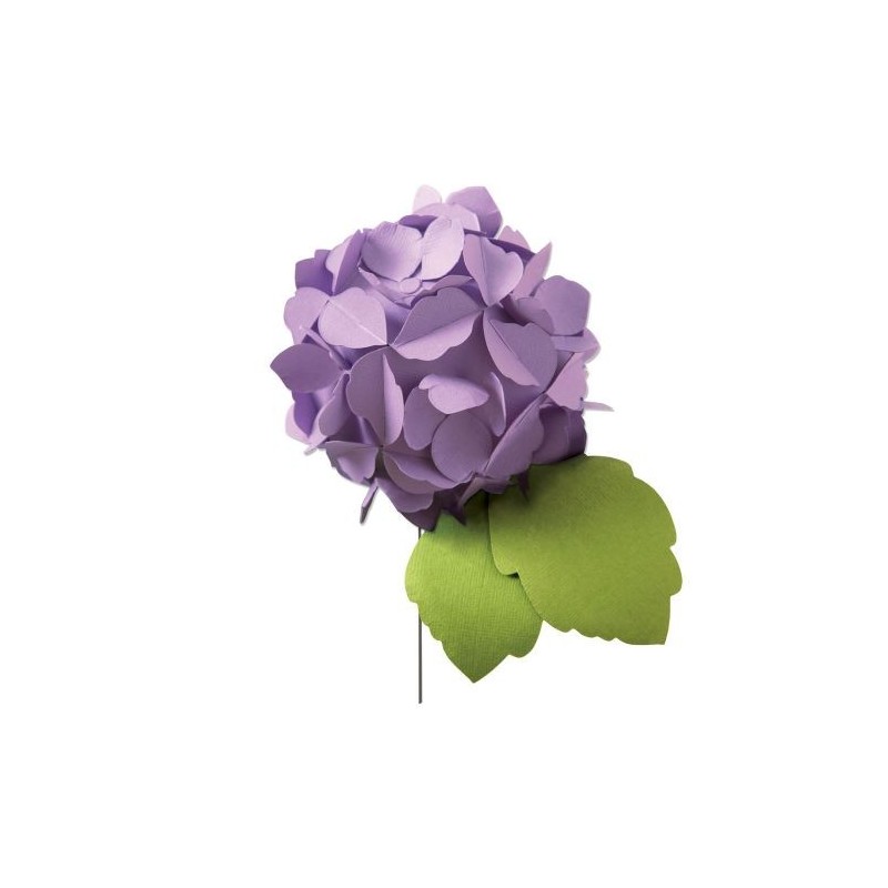 Troquel Grueso Sizzix Hortensia | 664367