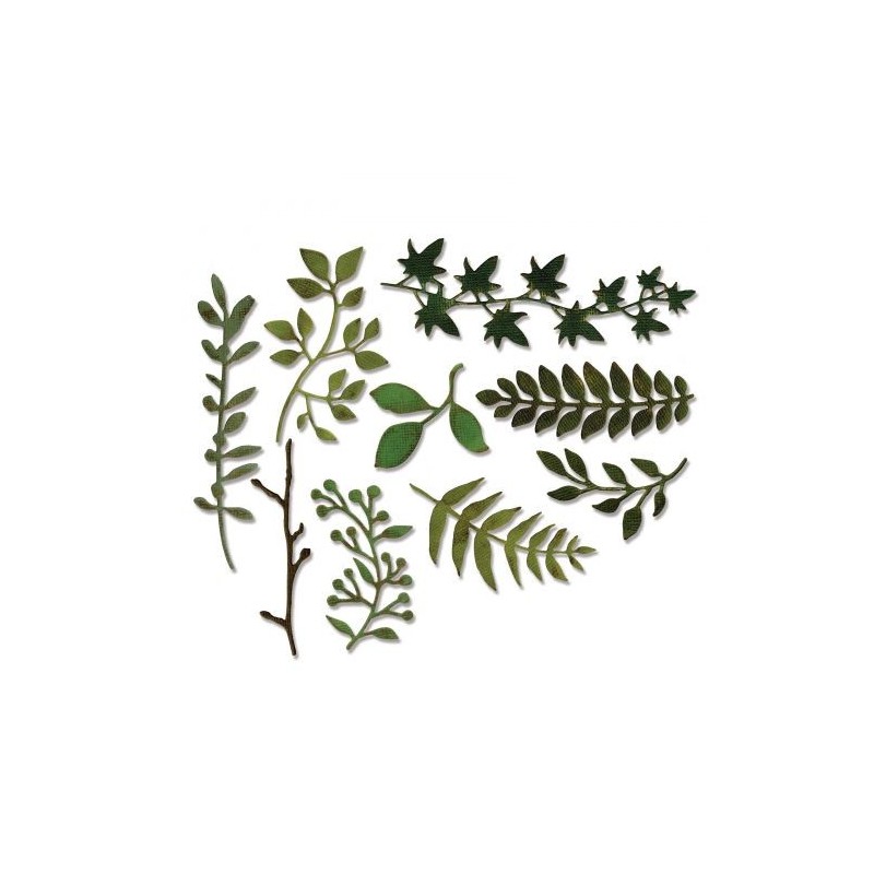 Troquel Delgado Hojas Jardin Sizzix Tim Holtz 9 Piezas | 661206